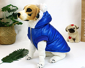 寵物外套|寵物用品生產廠家|東莞市琪美實業有限公司